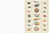 COLLAGE COMPENDIUM