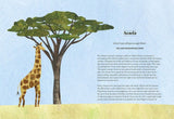 Tree Lore