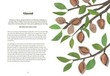 Tree Lore