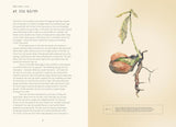 Forty Ways to Know a Tree