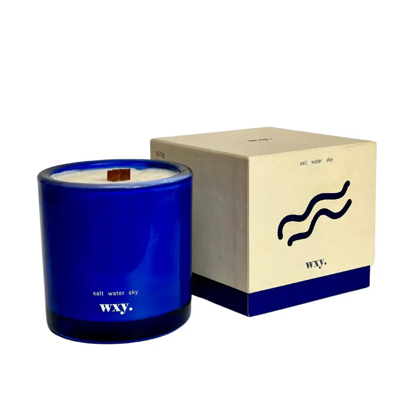 Wxy Roam Salt Water Sky 5oz Candle