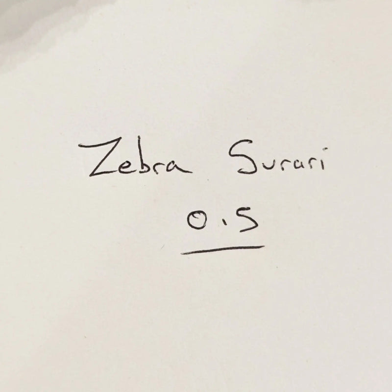 Zebra Surari 0.5 Ballpoint Pen