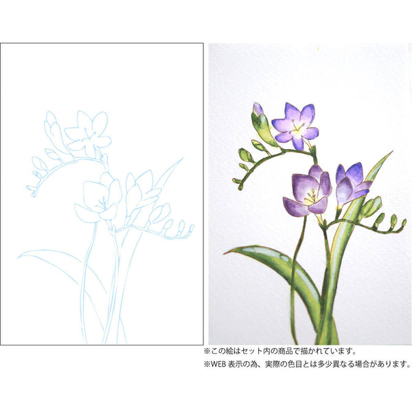 Kuretake Zig Watercolour - How to Paint Flowers Set - Purple