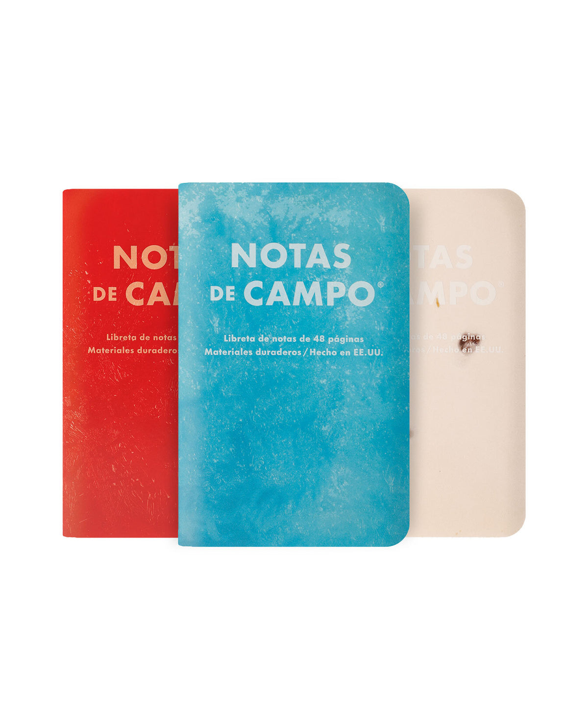 Field Notes Summer 2026 - Paletas- 3 Pack