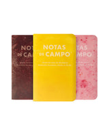 Field Notes Summer 2026 - Paletas- 3 Pack
