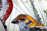Field Notes Birds & Trees of North America Pocket Notebooks - 3 Pack