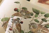 Field Notes Birds & Trees of North America Pocket Notebooks - 3 Pack