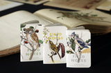 Field Notes Birds & Trees of North America Pocket Notebooks - 3 Pack