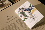 Field Notes Birds & Trees of North America Pocket Notebooks - 3 Pack