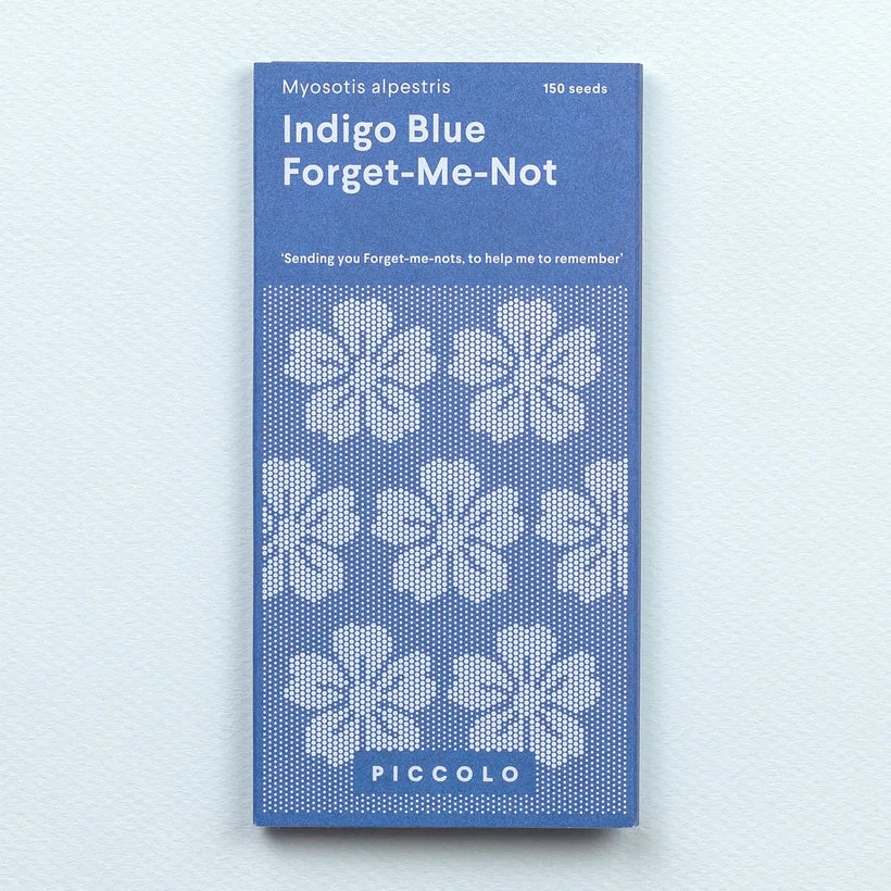Piccolo Indigo Blue Forget-Me-Not