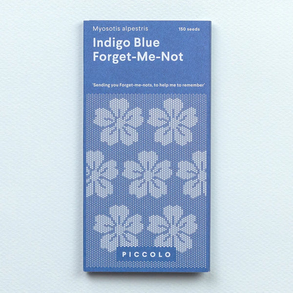 Piccolo Indigo Blue Forget-Me-Not