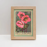 Hellebore Stamp - A5 Risograph Print