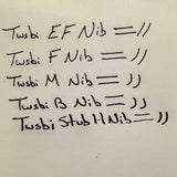 Twsbi Eco Fountain Pen - White