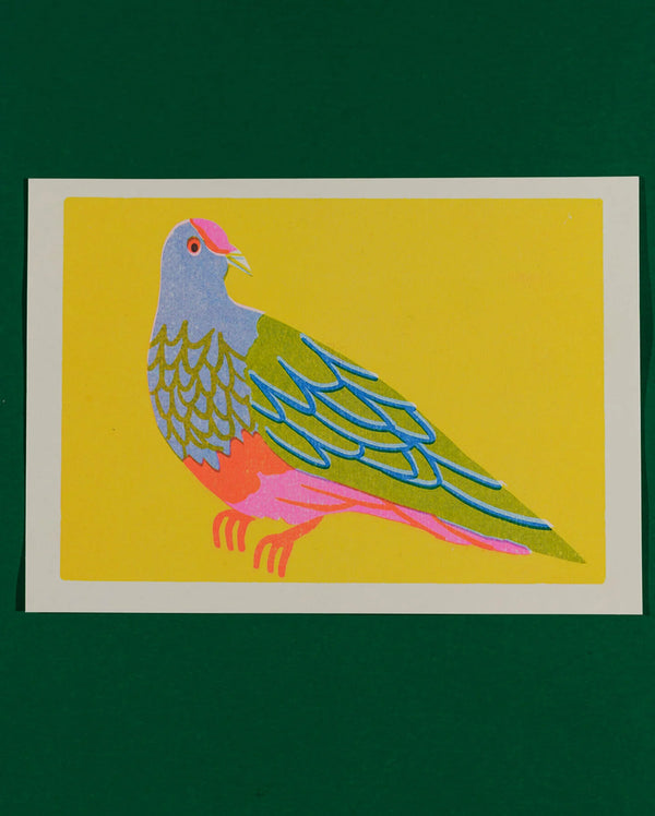 Fruit Dove A5 Riso Print