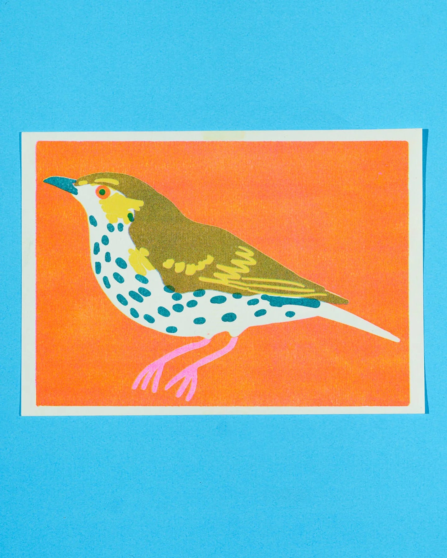 Mistle Thrush A5 Print, £8.95