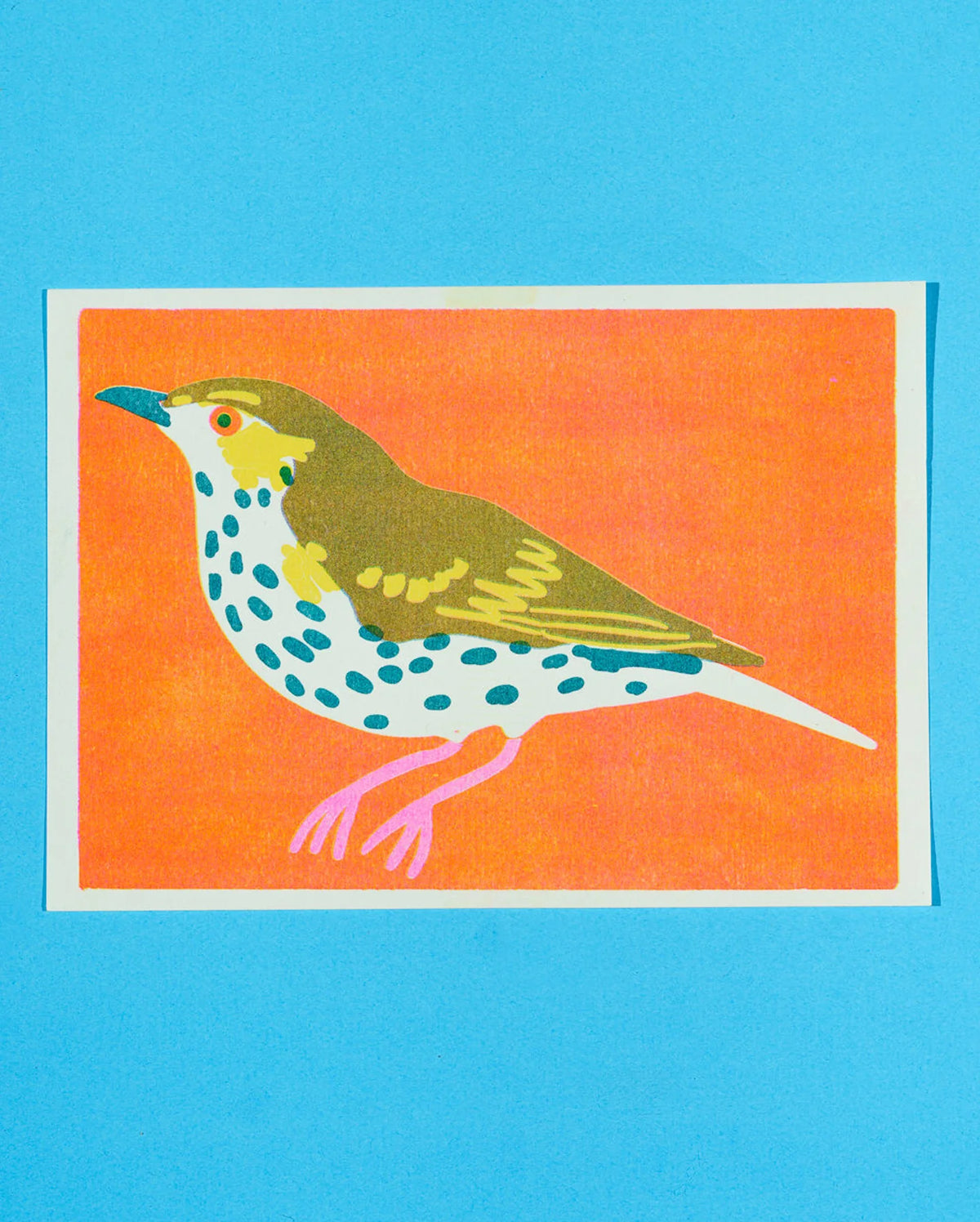 Mistle Thrush A5 Print