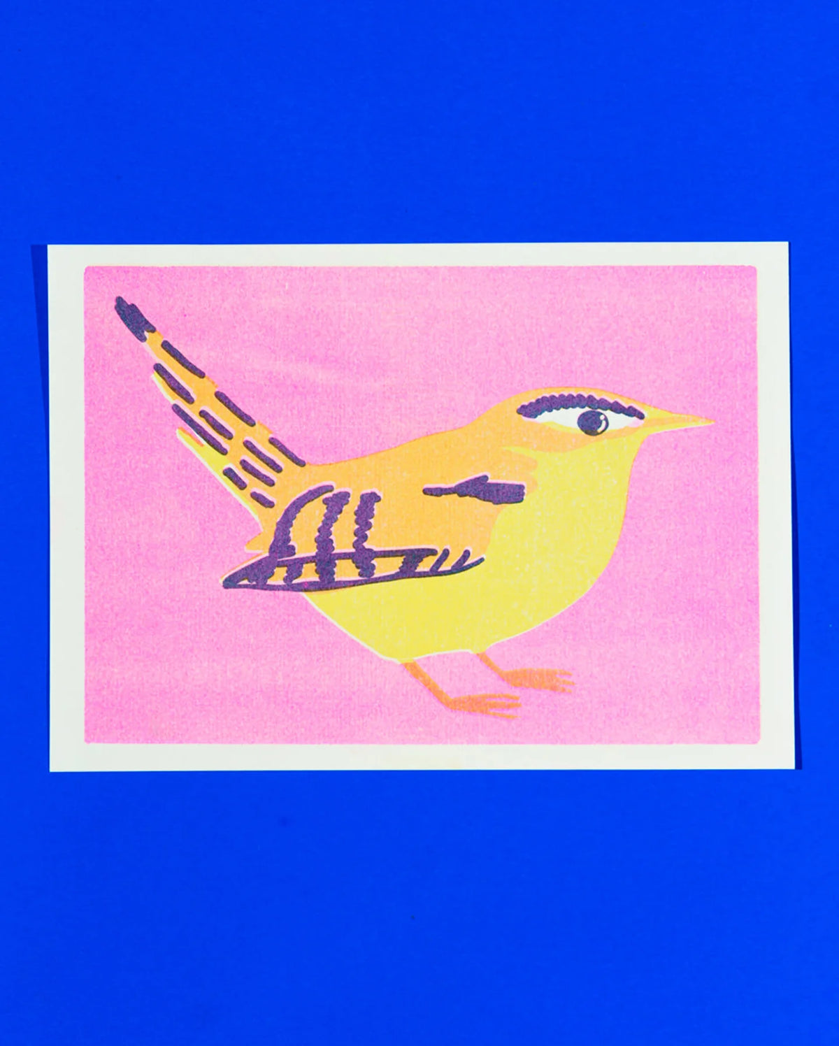 Wren A5 Print
