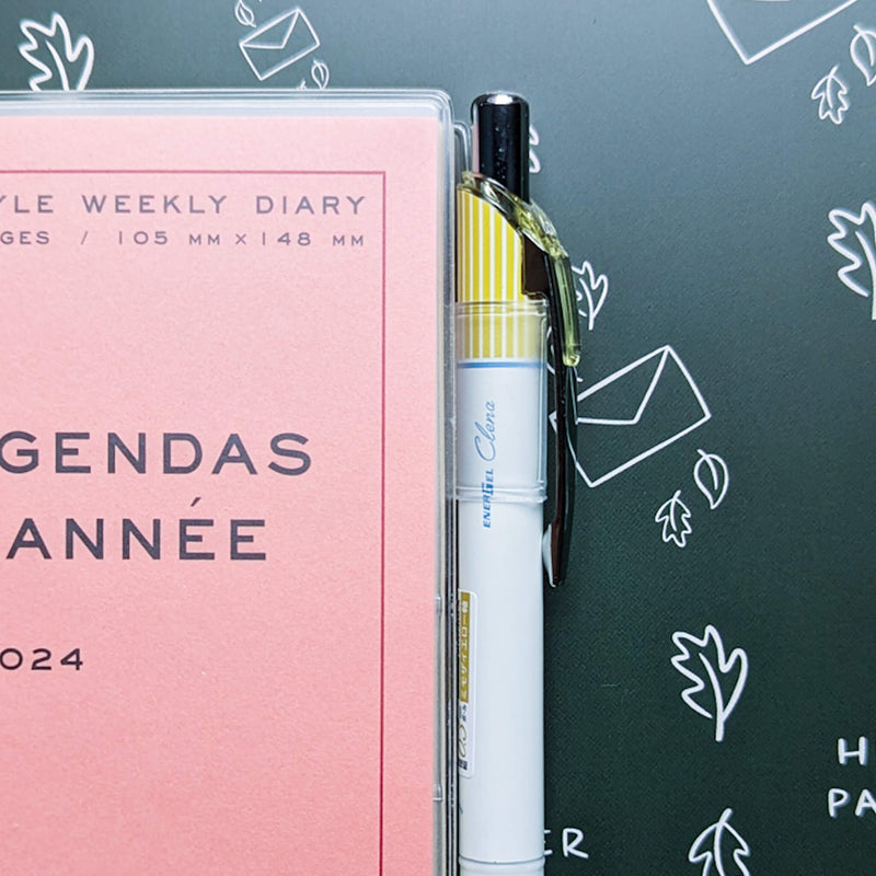 2024 Diary 'les Agenda De L'annee' 