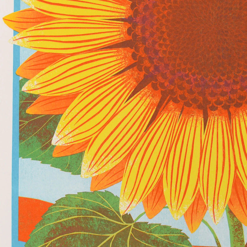 Sunflower - A3 Risograph Print