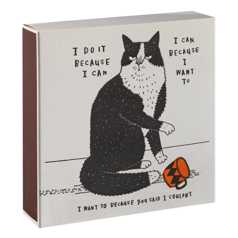Archivist I Do It Because I Can Box of Matches - Store Pickup Only