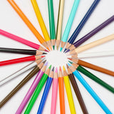 Blackwing Colors set of 24 Colouring Pencils