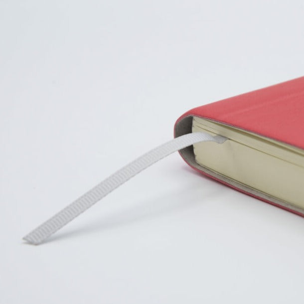 Ciak 2024 Daily Diary A5 - Coral Pink
