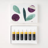Tom's Studio Mini Fountain Pen Ink Set - Botanical