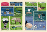 Recordmania Atlas of Incredible Records Reference Book