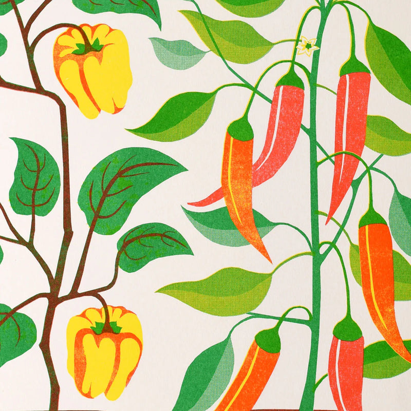 Chilli Peppers - A3 Risograph Print