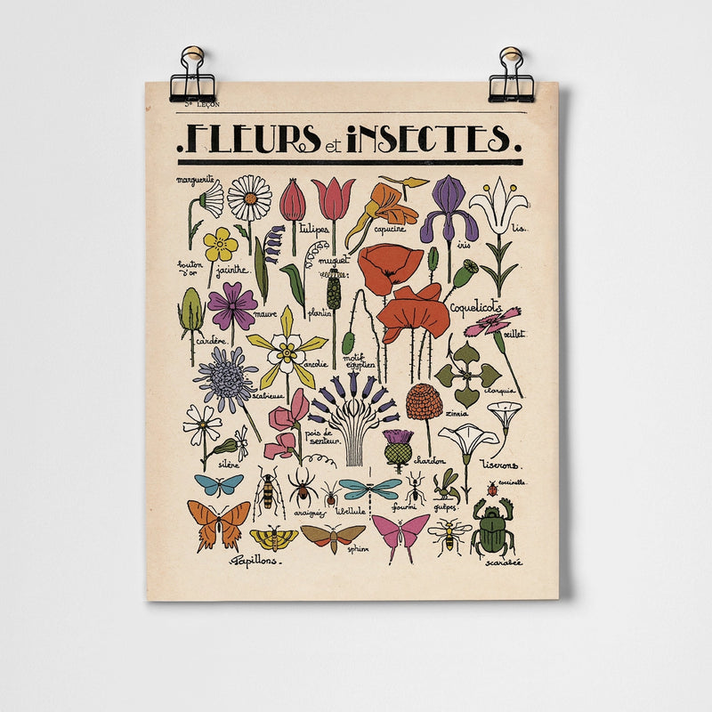 Fleurs Et Insectes A3 Art Print