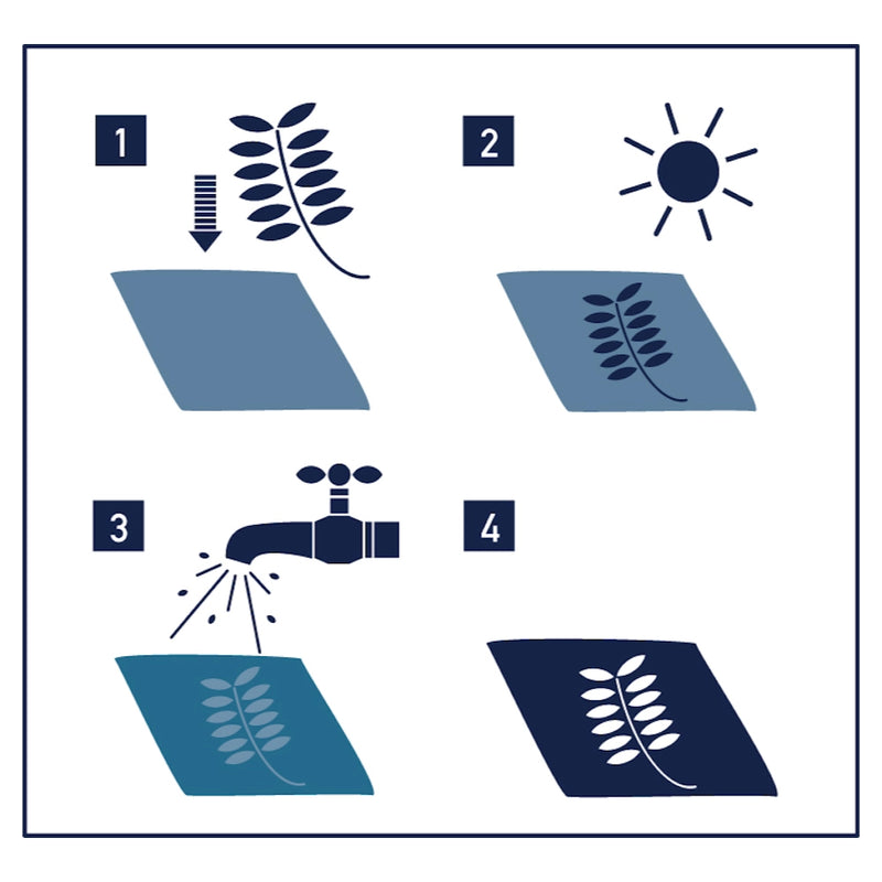 Sunography Paper - Solar Powered Photography, £14.95