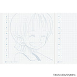 Hobonichi Techo A6 Hon 2026 One Piece Edition - Hiriluk’s Cherry Blossoms