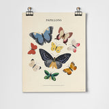 Papillons - Butterflies A3 Art Print