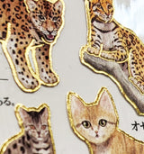 Kamio Japan - Big Cats Stickers