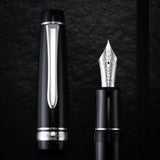 Pilot Custom Heritage 912 Fountain Pen - 14k Gold Nib