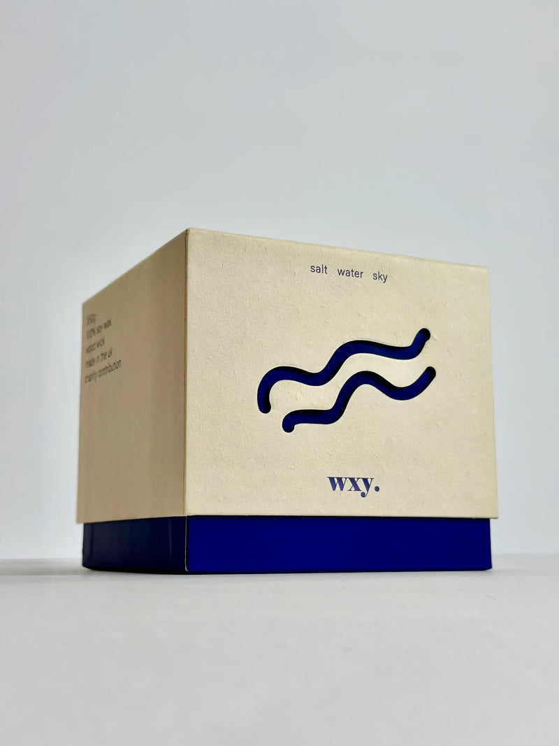 Wxy Roam Salt Water Sky 5oz Candle