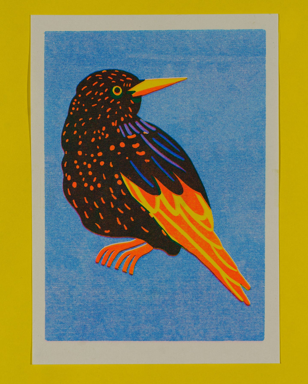 Starling A5 Print