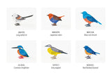 Good Morning Birds 2027 3D Desk Calendar