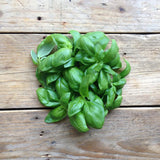 Piccolo Basil Genovese Seeds