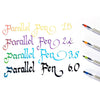 Pilot Parallel Fountain Pen