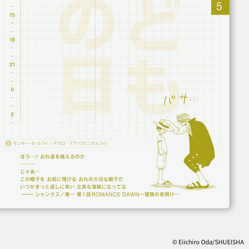 Hobonichi Techo Original Book A6 2026 One Piece Edition