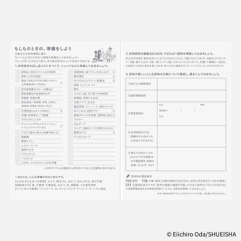 Hobonichi Techo Original Book A6 2026 One Piece Edition