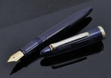 Sailor 1911 Profit Fude de Mannen 55 degrees Calligraphy Fountain Pen