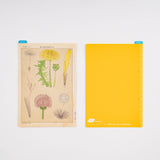 Hobonichi Tomitaro Makino: Pencil Boards