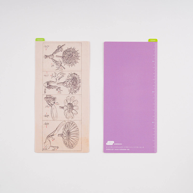 Hobonichi Tomitaro Makino: Pencil Boards