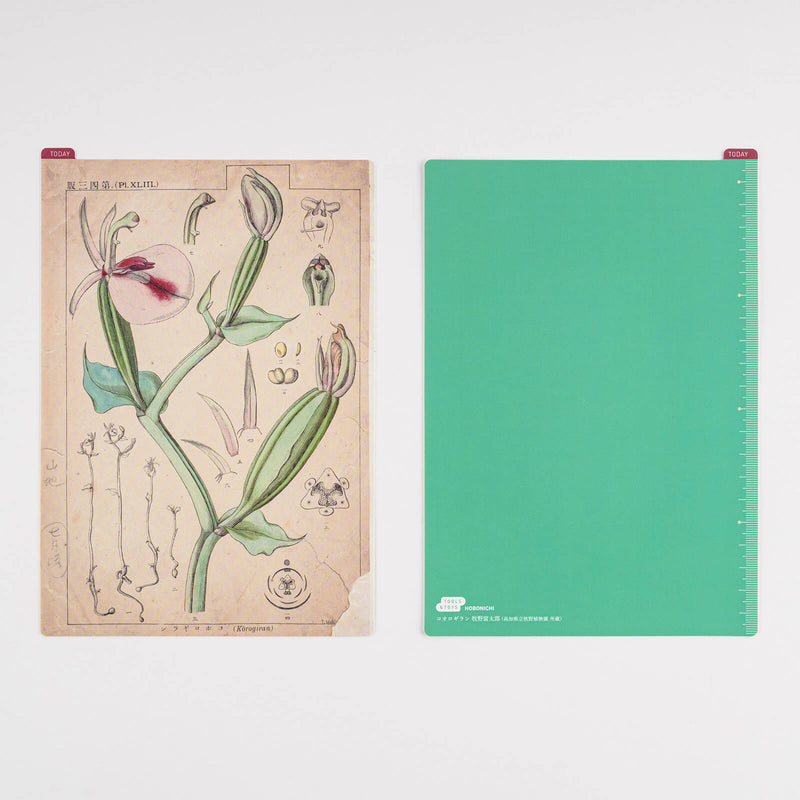 Hobonichi Tomitaro Makino: Pencil Boards