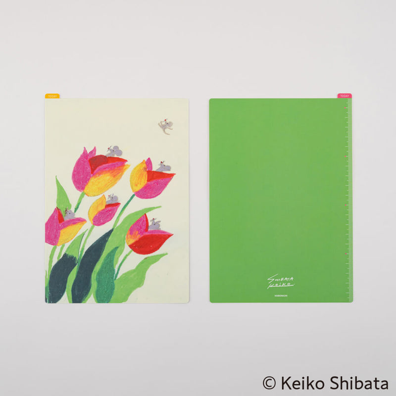 Hobonichi Keiko Shibata: Pencil Boards