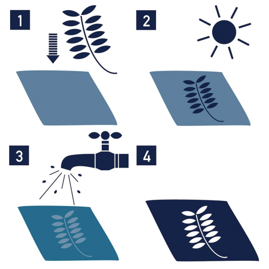 Sunography Colour Paper Cards - Solar Powered Photography, $11.47