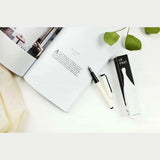Tools to Live By Le Chat Fountain Pen