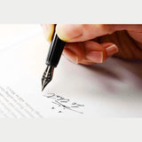 Tools to Live By Le Chat Fountain Pen